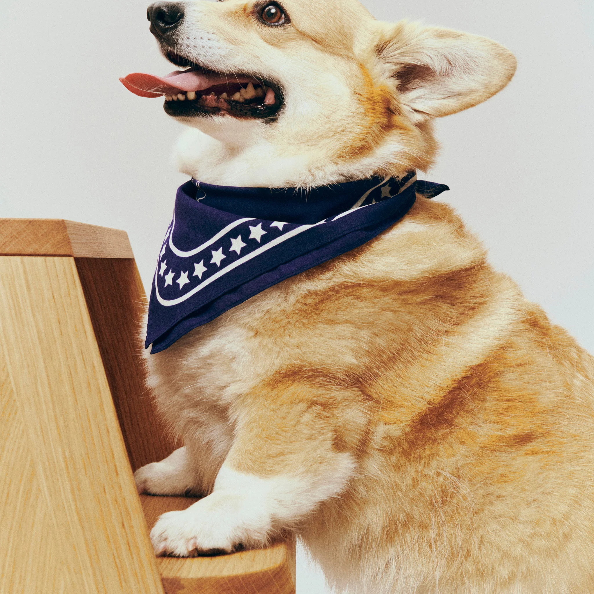 Butler Stool by Hay - Image 8