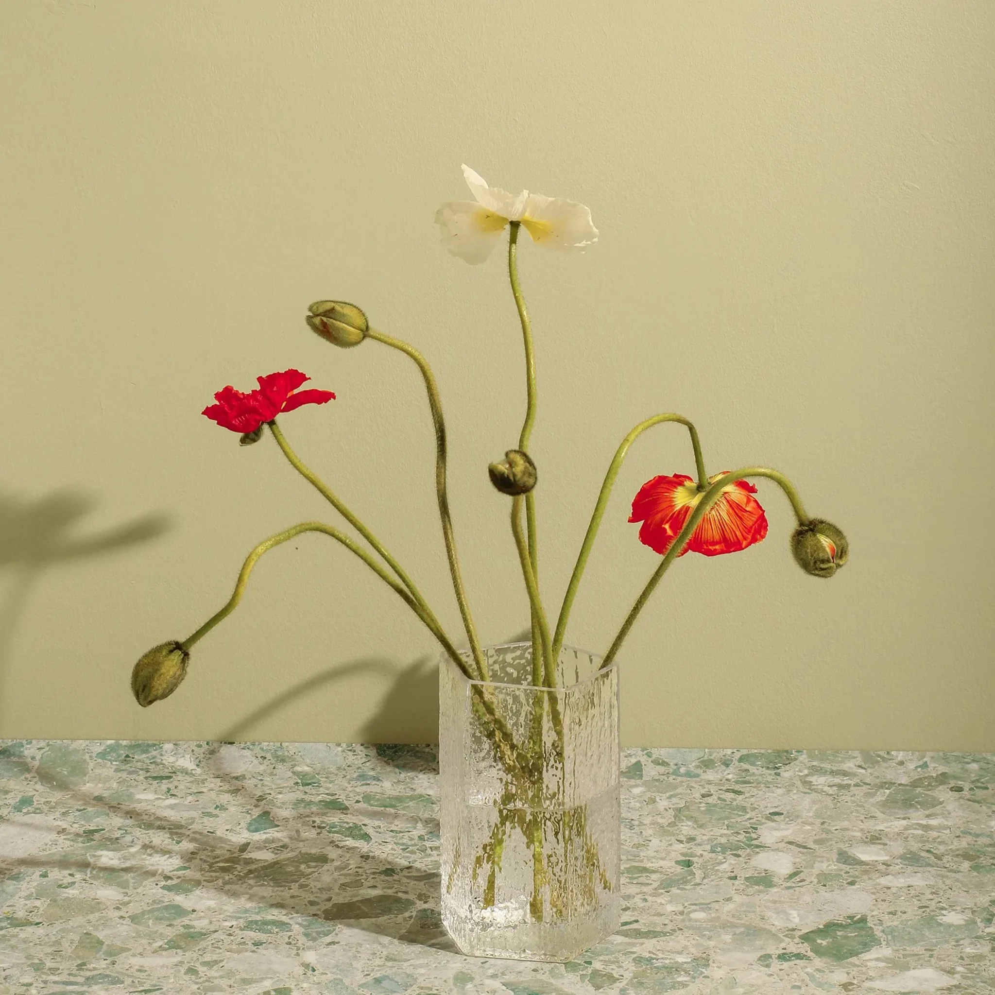 Causeway Vases by Aaron Probyn for Case - Image 2
