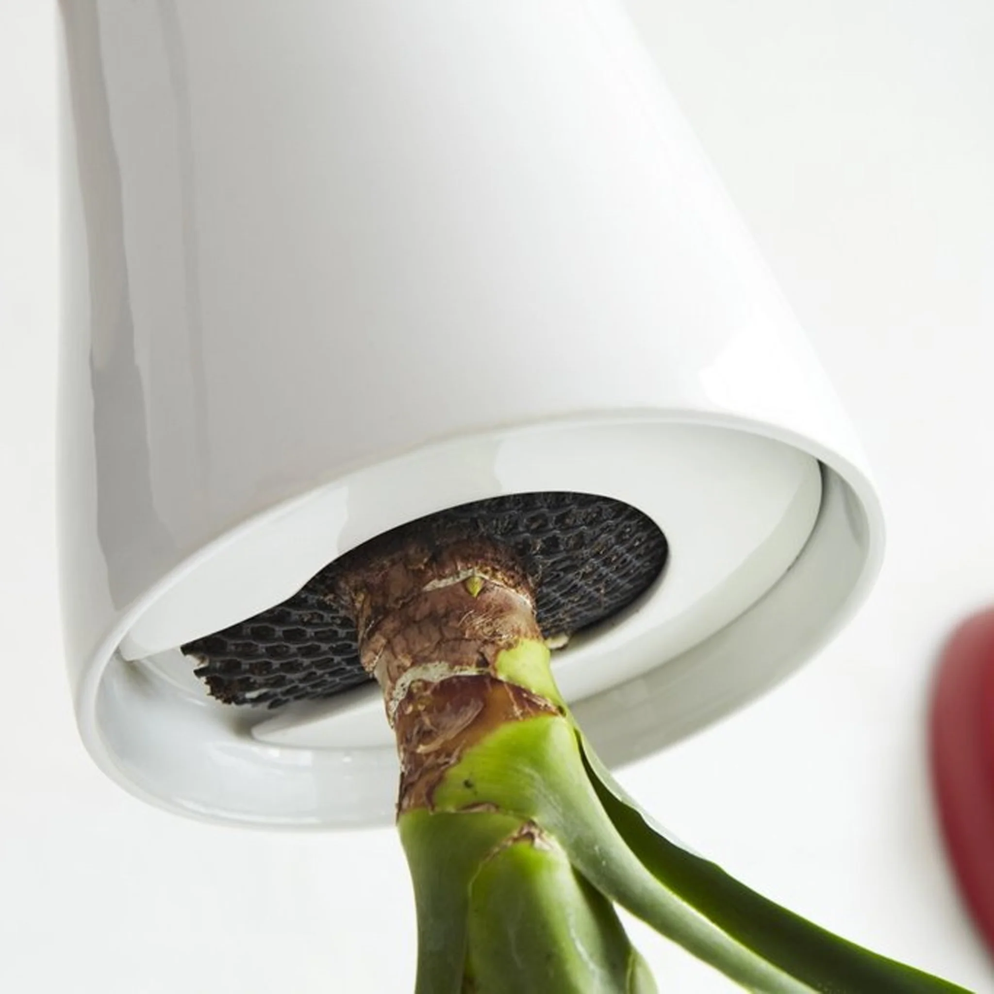 Clearance Sky Planter by Patrick Morris - Image 4