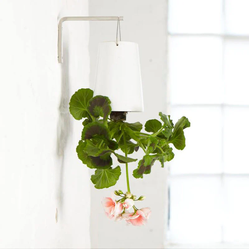 Clearance Sky Planter by Patrick Morris - Image 6