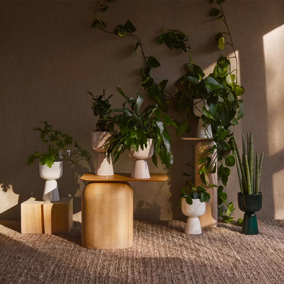 Nappula Plant Pots by Matti Klenell for Iittala - Image 3