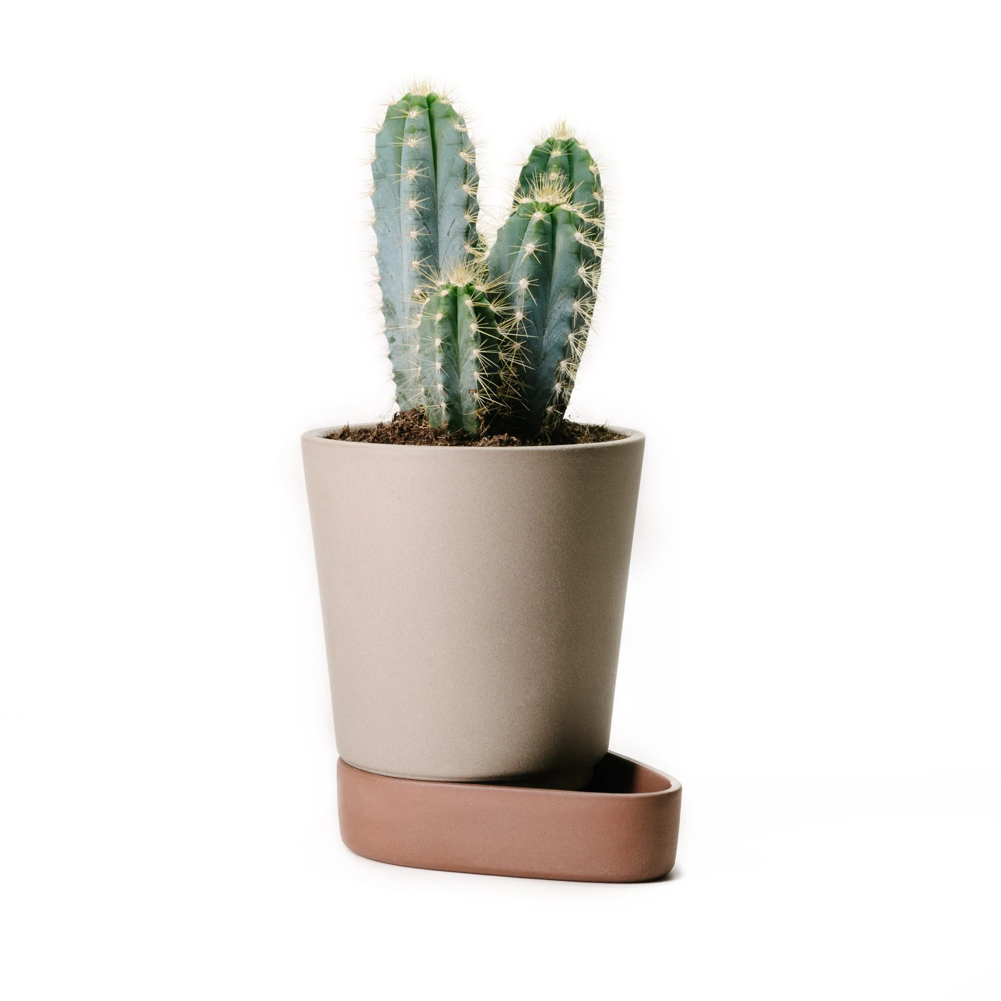 Sip Plant Pot by Case - Image 2