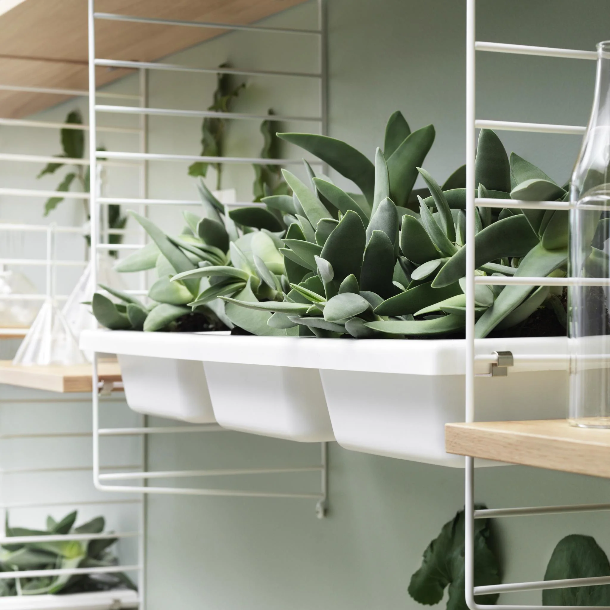 String - Wall Panels - Image 13